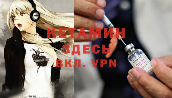 индика Нея