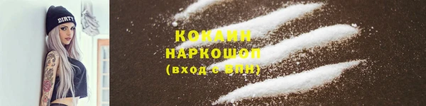 PSILOCYBIN Галич