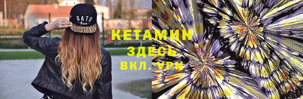 индика Нея
