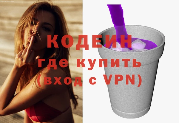 индика Нея