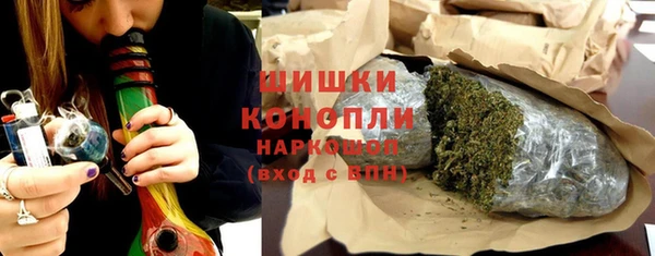 индика Нея