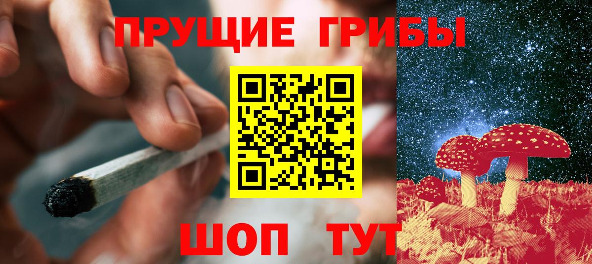 Псилоцибиновые грибы Psilocybine cubensis Истра
