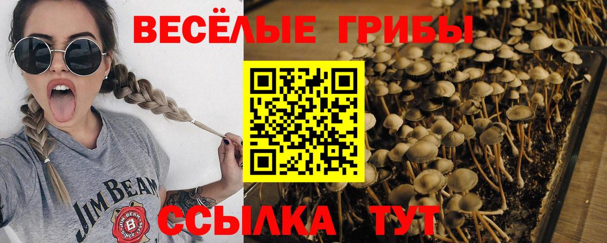 Псилоцибиновые грибы GOLDEN TEACHER  Вход с VPN  Истра  Галлюциногенные грибы GOLDEN TEACHER 