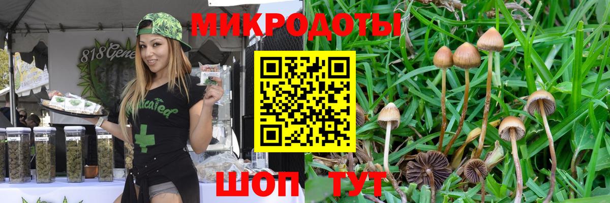 Псилоцибиновые грибы Psilocybe Истра