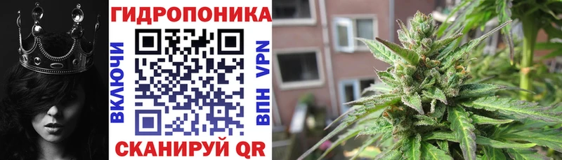 Шишки марихуана ГИДРОПОН  Истра 