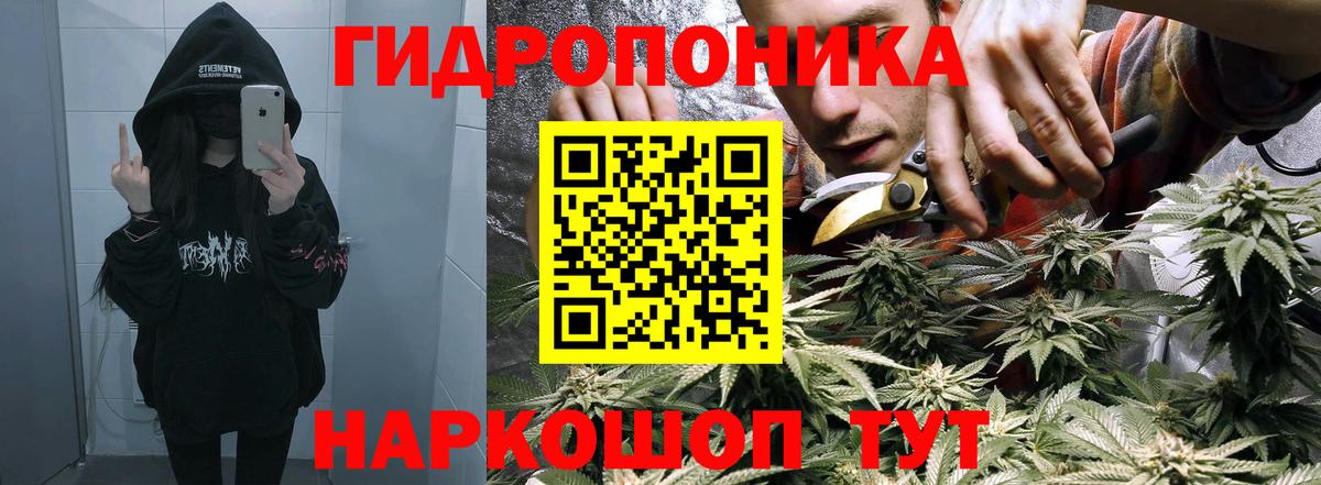 Шишки марихуана индика Истра